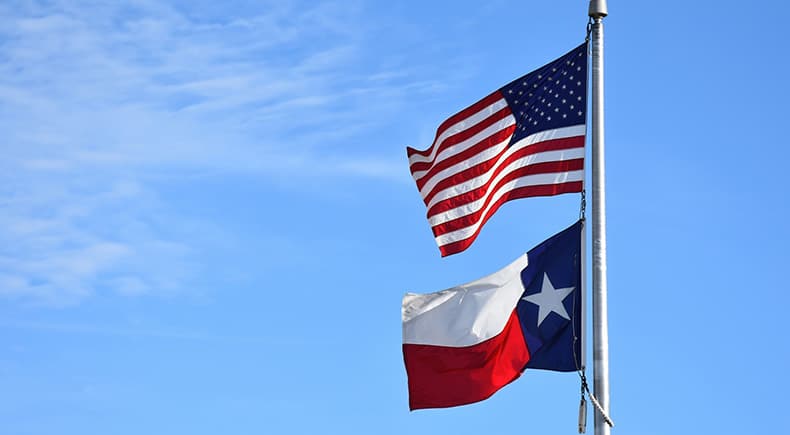 american and texas flag